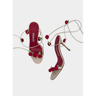 Manolo Blahnik Rose Heels (39.5)