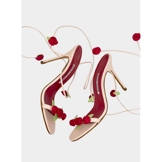 Manolo Blahnik Rose Heels (39.5)